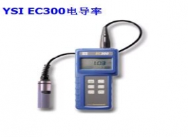 YSI EC300型鹽度、電導(dǎo)和溫度測(cè)量?jī)x