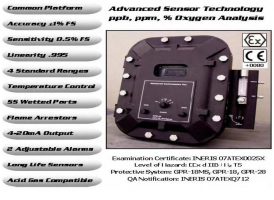 GPR-18系列防爆氧分析儀